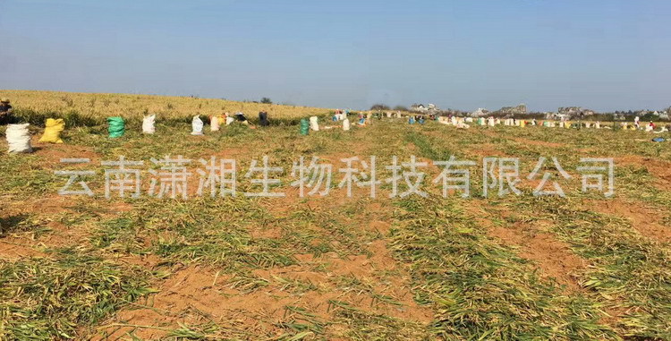 mmexport1485007946168