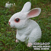 Rabbit, jewelry, decorations, animal model, resin, suitable for import