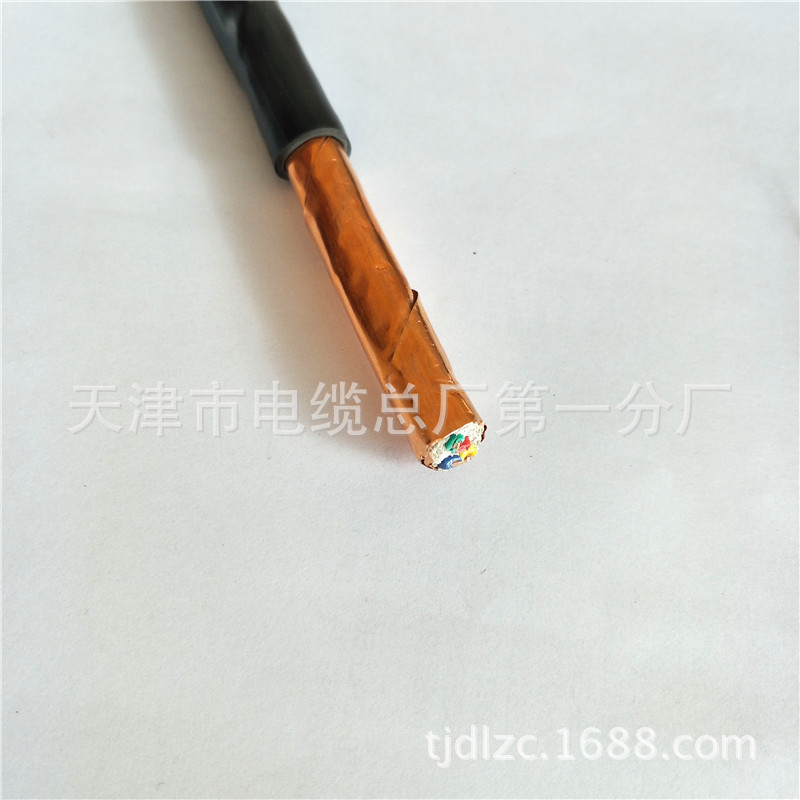 DJYVP2 4*2*1.0铜带屏蔽计算机电缆DJYVP2 计算机电缆