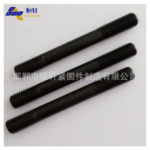 ����\����p�^��  �p�^���� m16 �ߏ����p�^��˨ ����10.9��