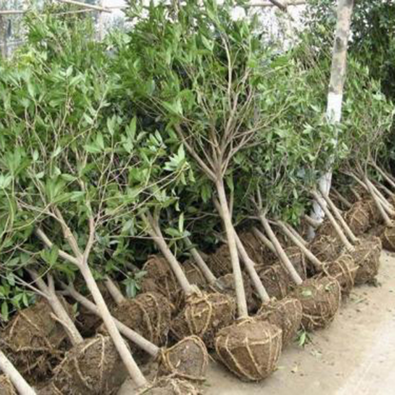 u=67749727,1640367812&fm=2