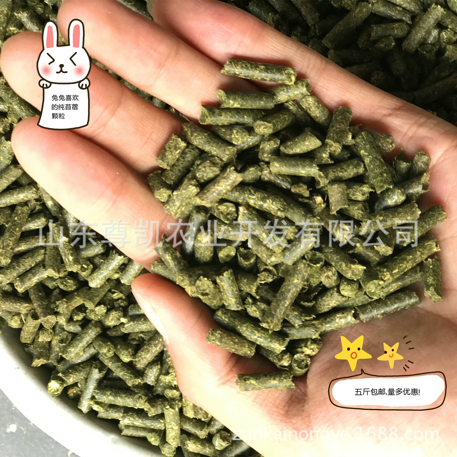 Кролик кролик и другие домашние животные едят частицы травы люцерны общие коренные зубы закуски шиншиллы Крупный рогатый скот и лошади едят килограмм