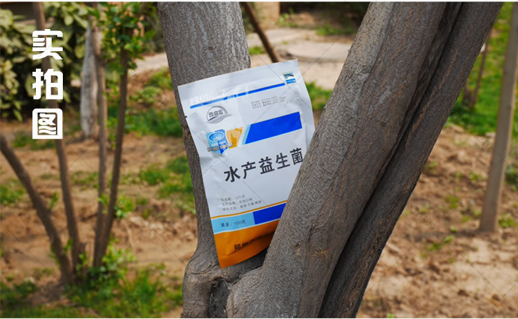 鸡粪肥水发酵剂