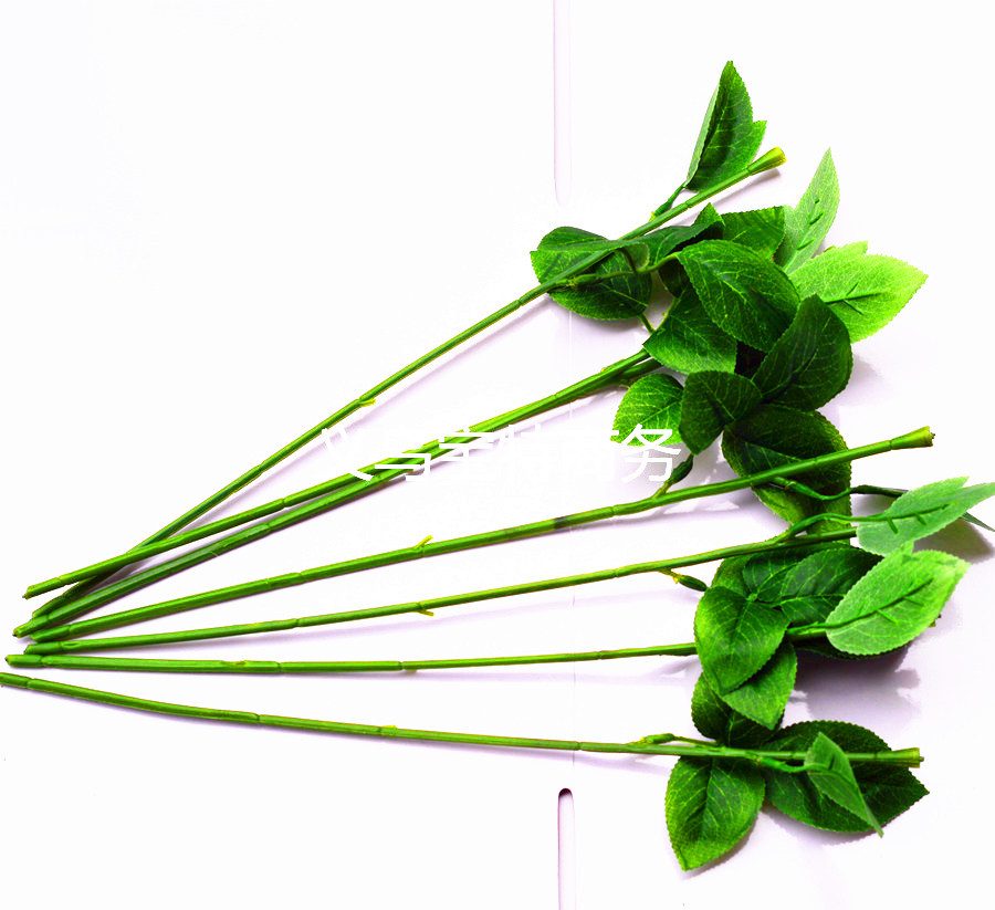 DSC_0177_副本_副本