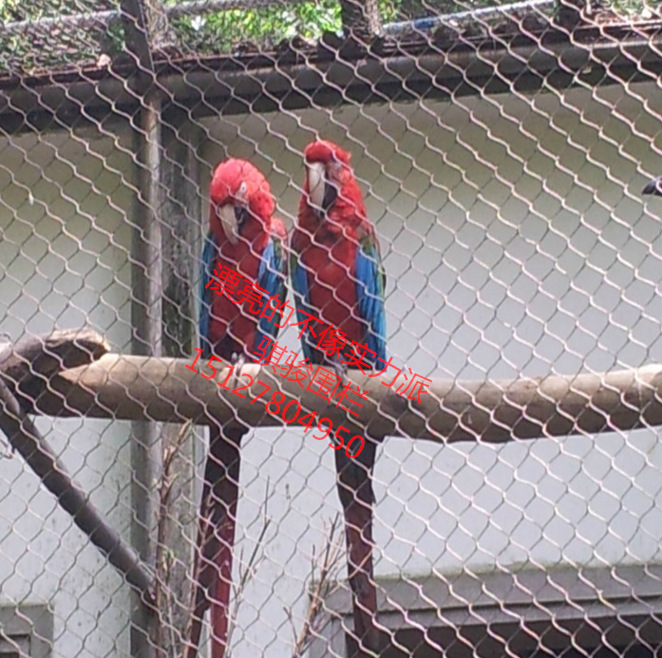 2018骐骏新型鸟语林网,鸟语林笼舍网,改变丝径光滑度不伤害鸟羽毛