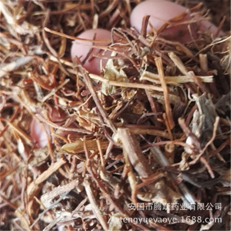 Dried Gentian Root Long Dan Cao Whole Root TCM Herbal Material for Decoction and Tea quality and texture