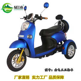 新款绿江南成人电动三轮休闲车双人女士家用休闲电动车定做锂电池