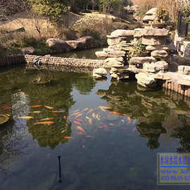 科旭达直销梅州市兴宁市鱼池精滤机景观鱼塘水过滤设备水清澈洁净