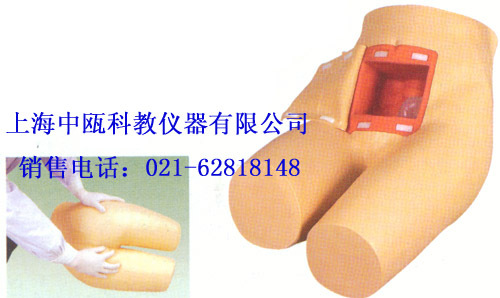 护理模型|H35型 高级灌肠和辅助排便训练模型,医学模型实验室装备