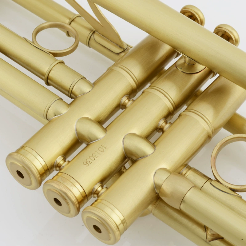 津宝 Small JBTR-450 Small Musical Instrument Brushed Matt Small Wholesale Tender Contact Customer Service