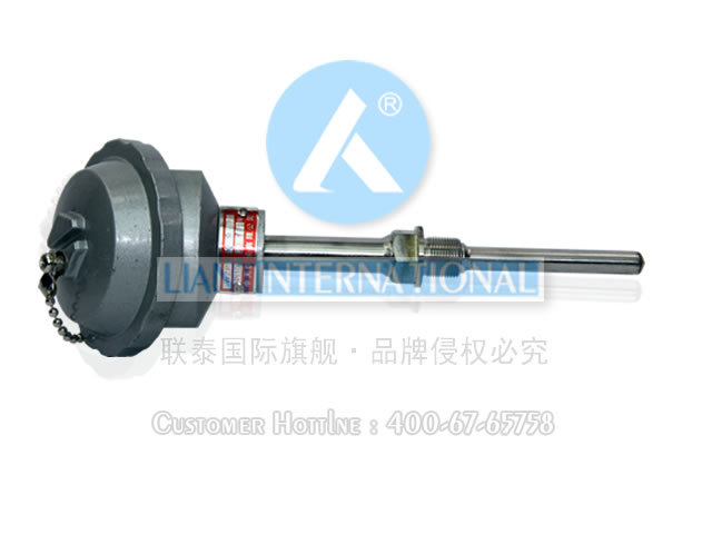 WZC2-280 双支铜热电阻 中天仪表  联泰仪表