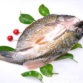 开背腌制调味草鱼 2.2-2.5斤开背草鱼批发 烤鱼用