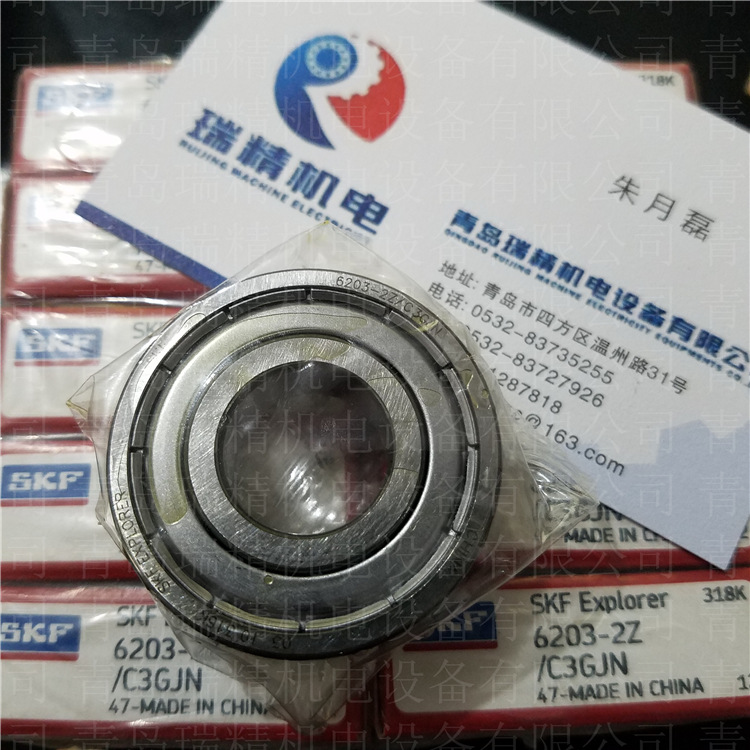 SKF6203-2Z-C3GJN (2)