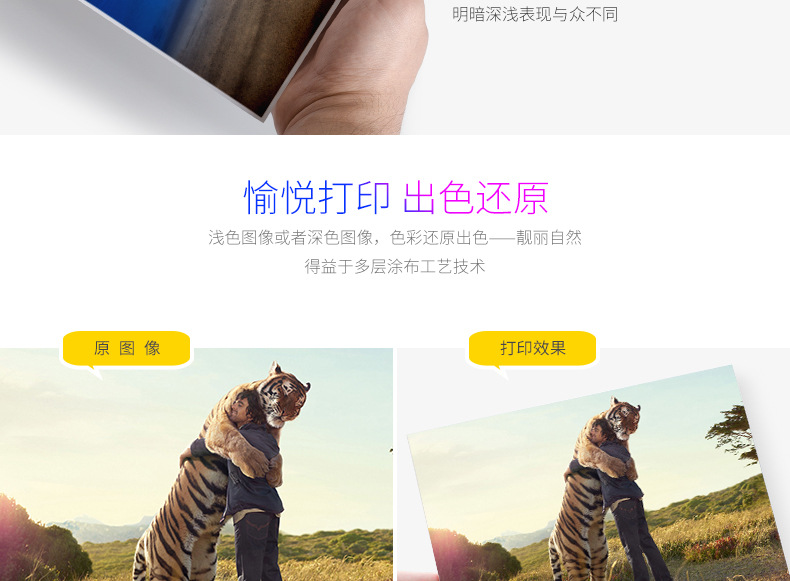 RC相纸_07