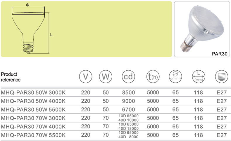 PAR30宠物爬虫灯