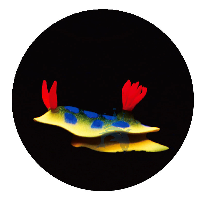 智洋 鱼缸装饰 水族造景配饰 塑料夜光仿真海兔