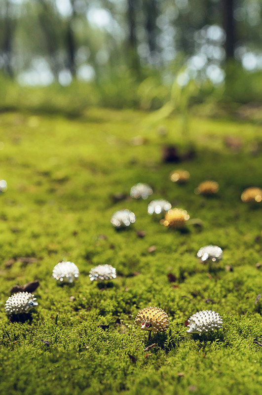 5329590654 1744051483