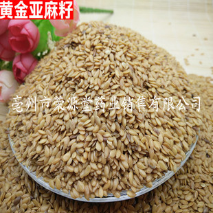 ���l��ș��  ������  �S�������� ������  �Ƀ��o�s�|