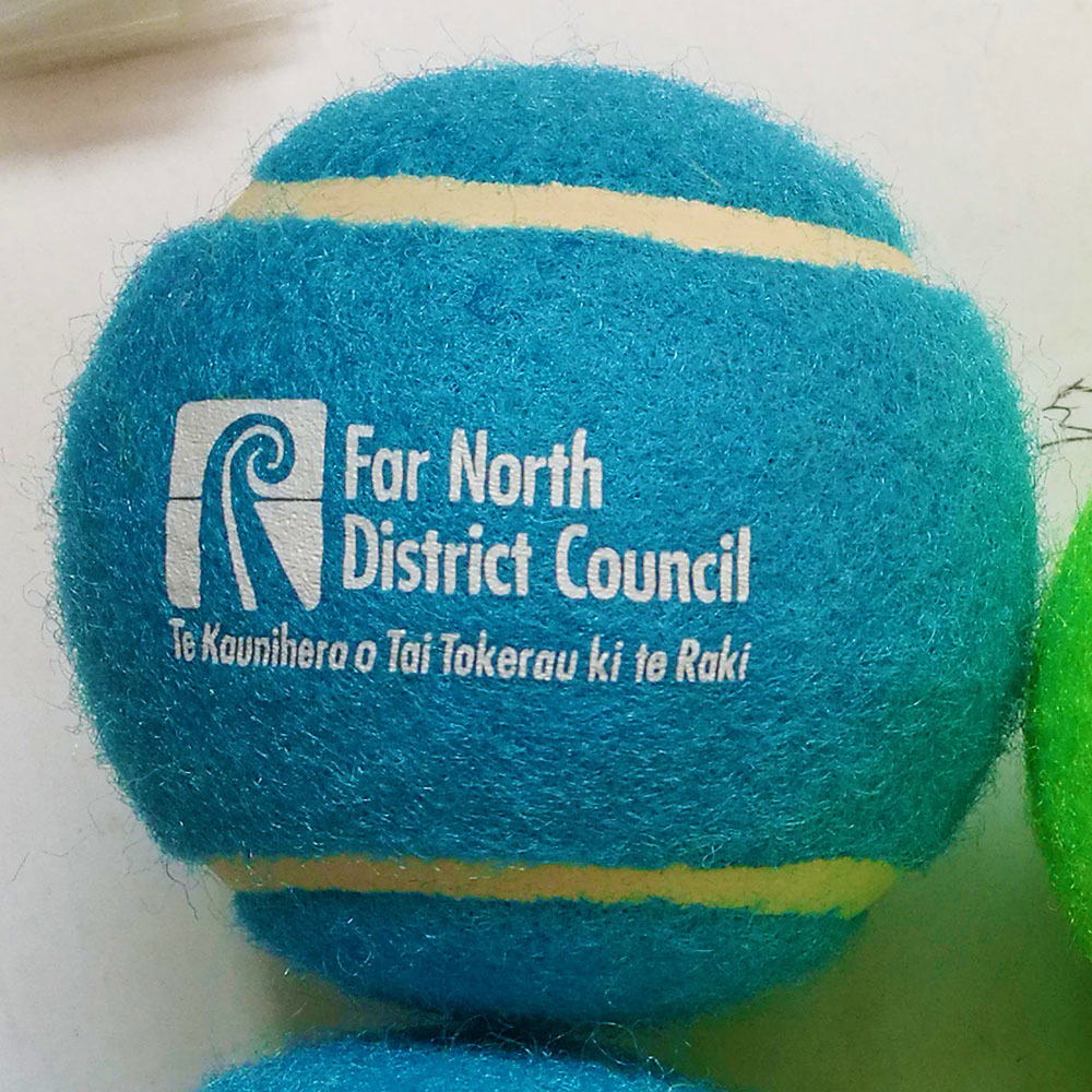 白色印刷 多色彩色LOGO诊所厂家定做广告一级环保蓝色宠物网球