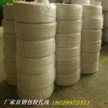 �S��ֱ�NPP���� ���z�F������ 늾���|�����z ����ă�