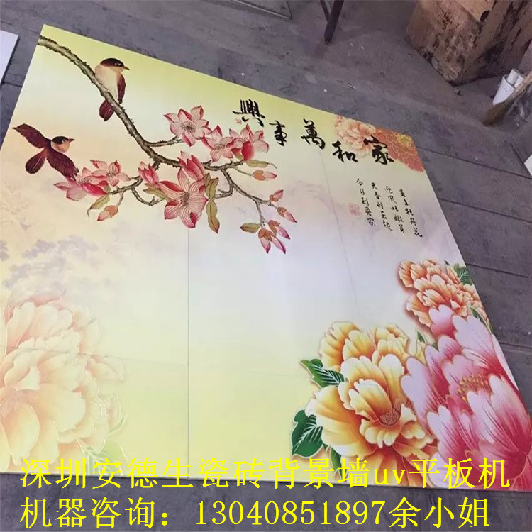 背景墙彩印实物图 (73) - 副本