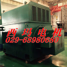 YRKK4002-6 200KW/10KV绕线型/高压电机图片
