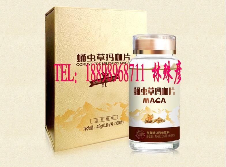 蛹虫草玛咖片5_conew2