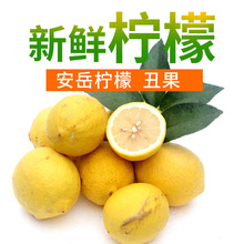 Stock Fresh Lemon Tứ Xuyên Anyue Lemon Lemon Trái cây tươi xấu xí Bán buôn Trái cây Tứ Xuyên