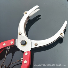 ���l �T���pƬ����h����� �h� �h��� �h���� ���Ƥ����