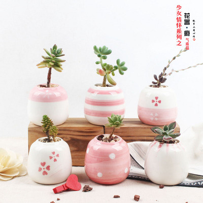 【花器.瘾 】厂家直销手绘粉色多肉花盆少女气质篇 萌物拇指盆|ms