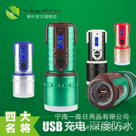 手电筒;头灯头戴电筒;工作/检修灯