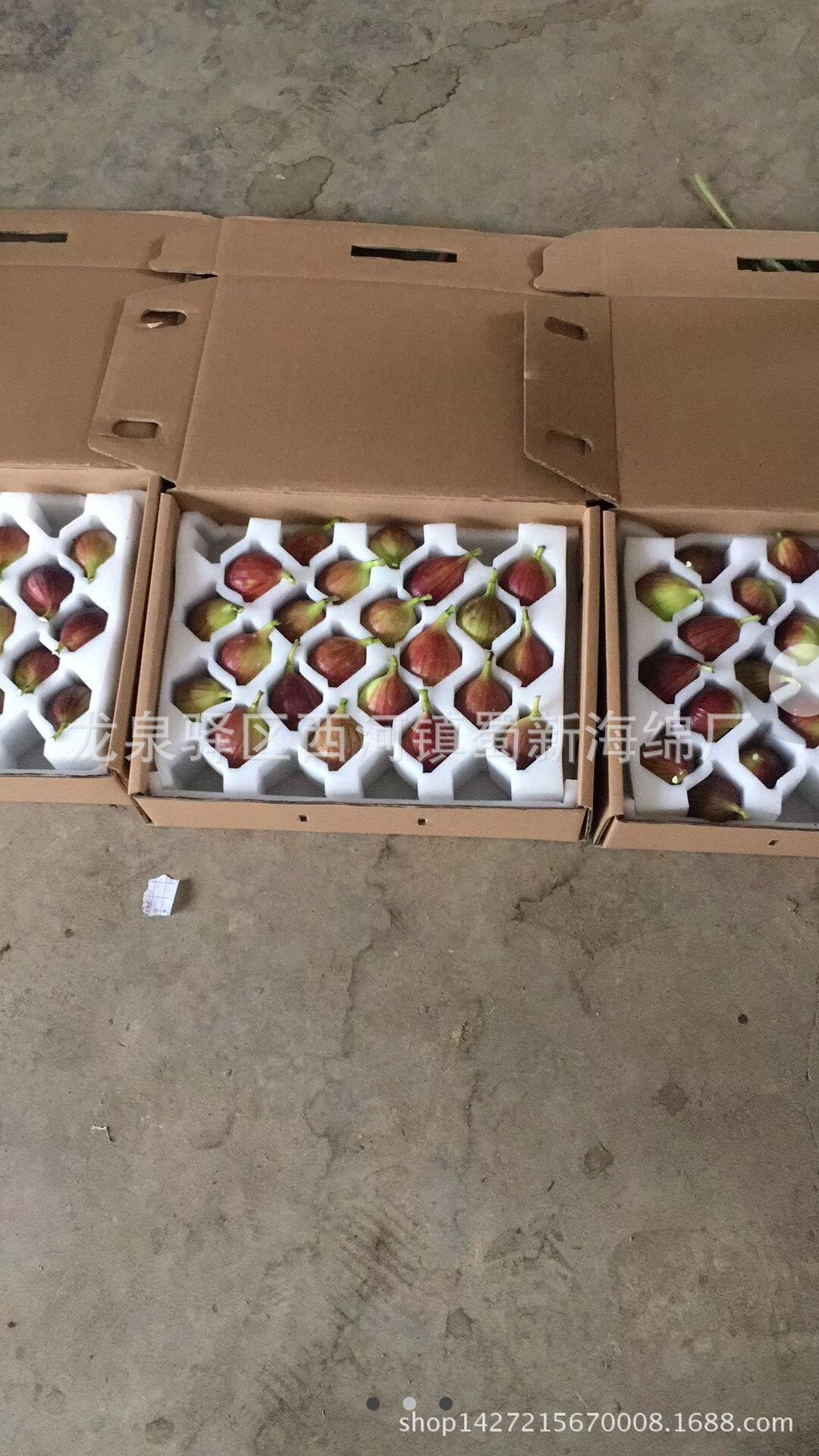 供应白色无花果防震包装海绵/15枚20枚装包装