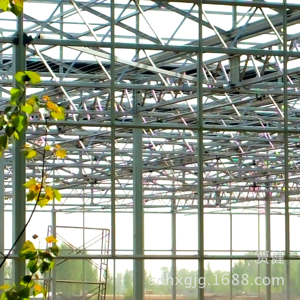 厂家出售联栋温室   蔬菜温室大棚  高智能温室