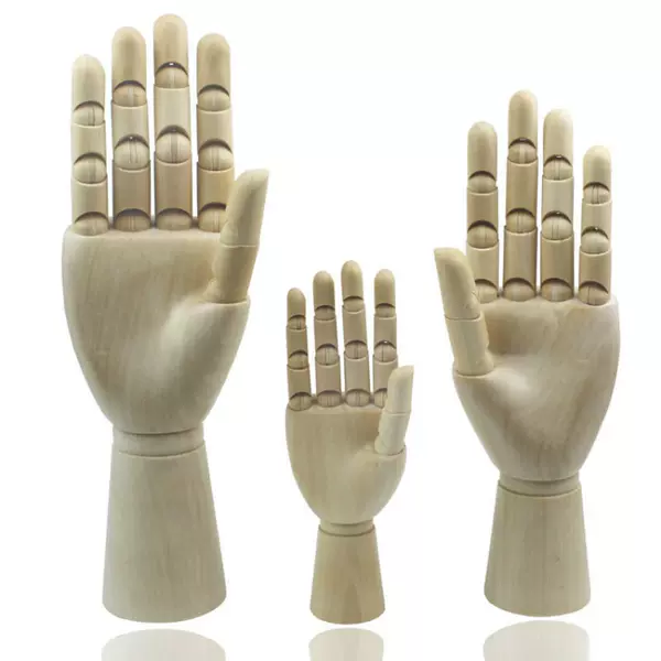12 -inch male hand