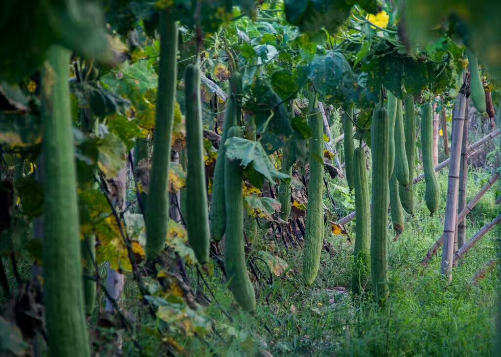 QQ图片20170808141808