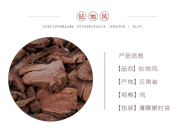 Dried Zuan Di Feng Root 500g Yunnan Raw Chinese Herb for Decoction and Herbal Tea overview