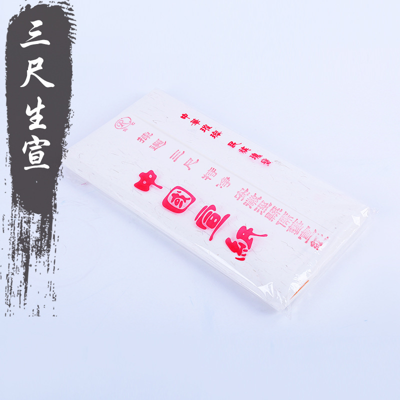 儒艺三尺生宣纸学生书法宣纸培训班初学者书画创作批发促销国画
