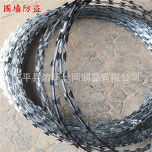 刺繩網廠家生產四川重慶監獄圍牆防攀爬鍍鋅鋼絲刀片刺繩量大從優