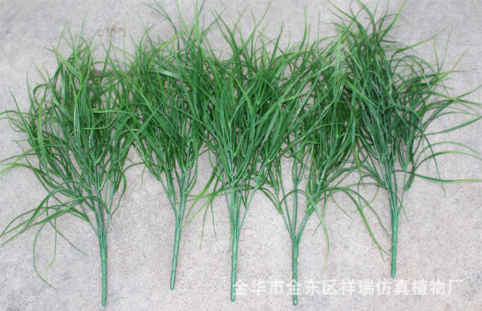 XRB-172把束长草7叉60厘米5