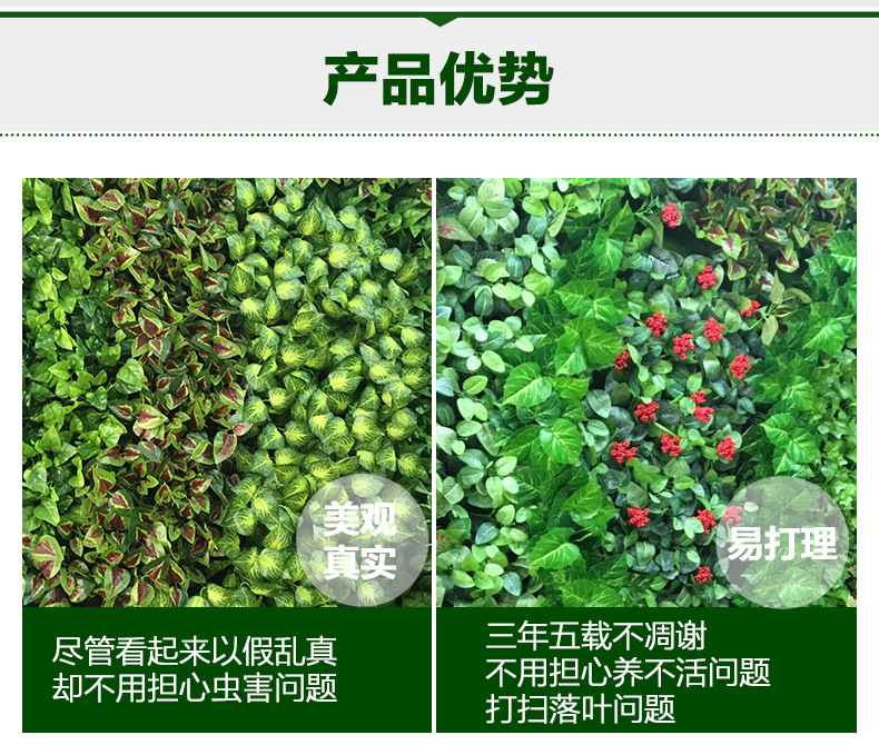 TB2YqHmXNb9F1JjSZFqXXbotVXa-85