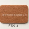 F10013