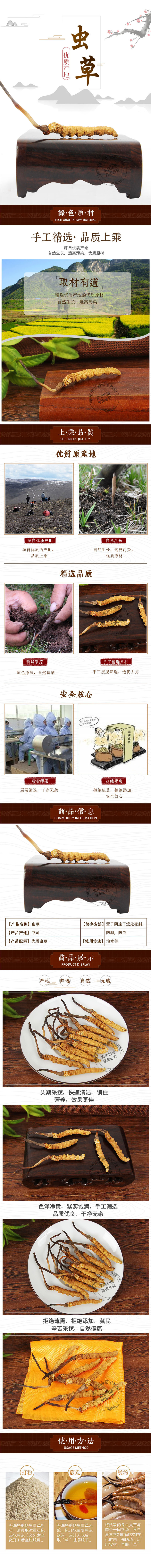 Cordyceps Broken Caterpillar Fungus Dong Chong Xia Cao Dried Chinese Herbal Material for Cooking and Decoction overview