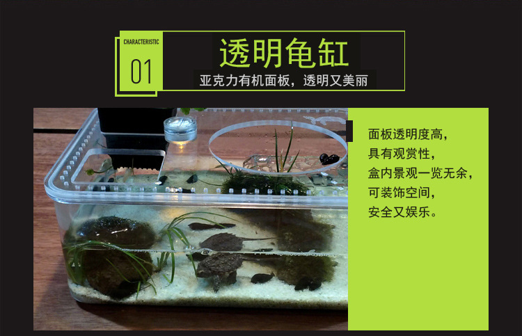 a龟缸_05