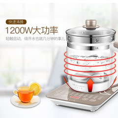 Lifestyle element health-preserving pot fully automatic thickened glass multi-functional tea brewer water boiler flower tea pot black tea pot