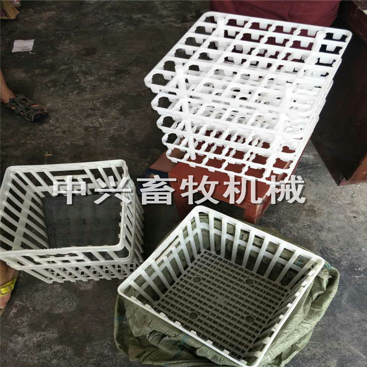 优质鸭蛋周转筐周转箱厂家批发