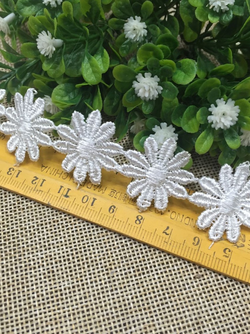 白色小花细节图