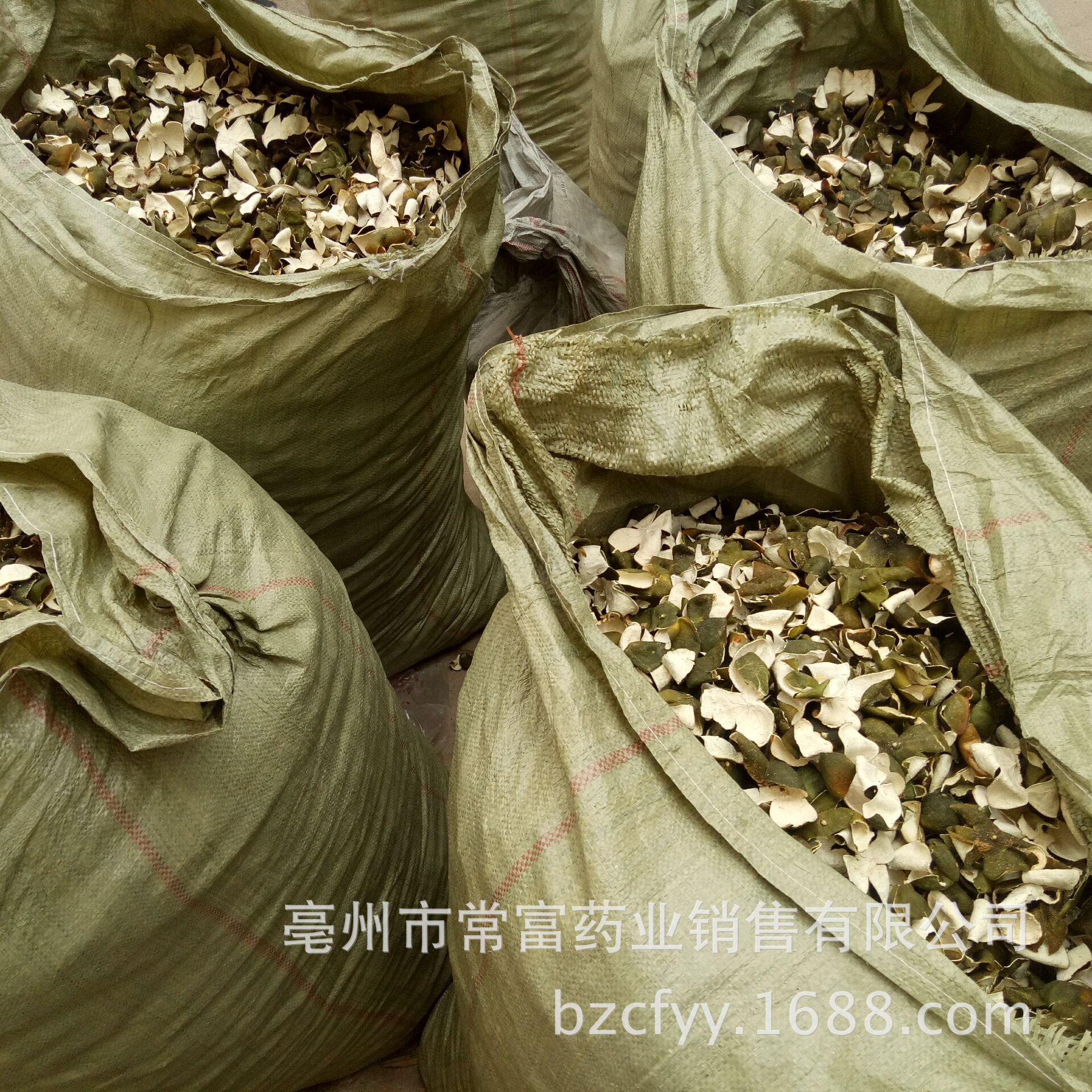 Green Tangerine Peel Qing Pi 500g Dried Citrus Peel Slices for Herbal Tea and Culinary Use specifications