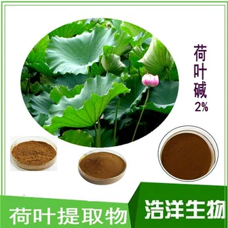 荷叶提取物 荷叶碱2% 3% 15%荷叶黄酮10% 20%  HPLC检测 浩洋生物