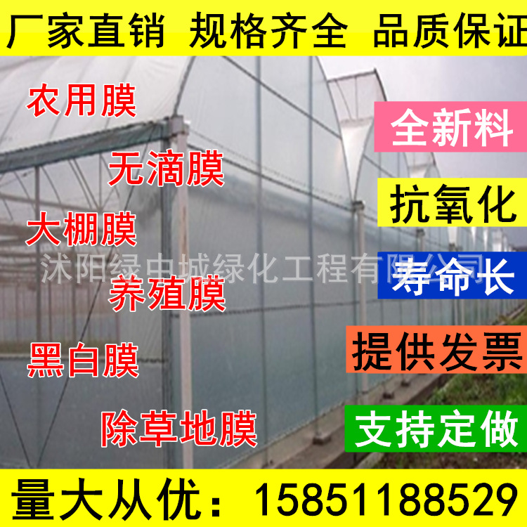 批发 塑料薄膜 大棚膜  无滴膜 农用薄膜 全新塑料薄膜 厂家直销