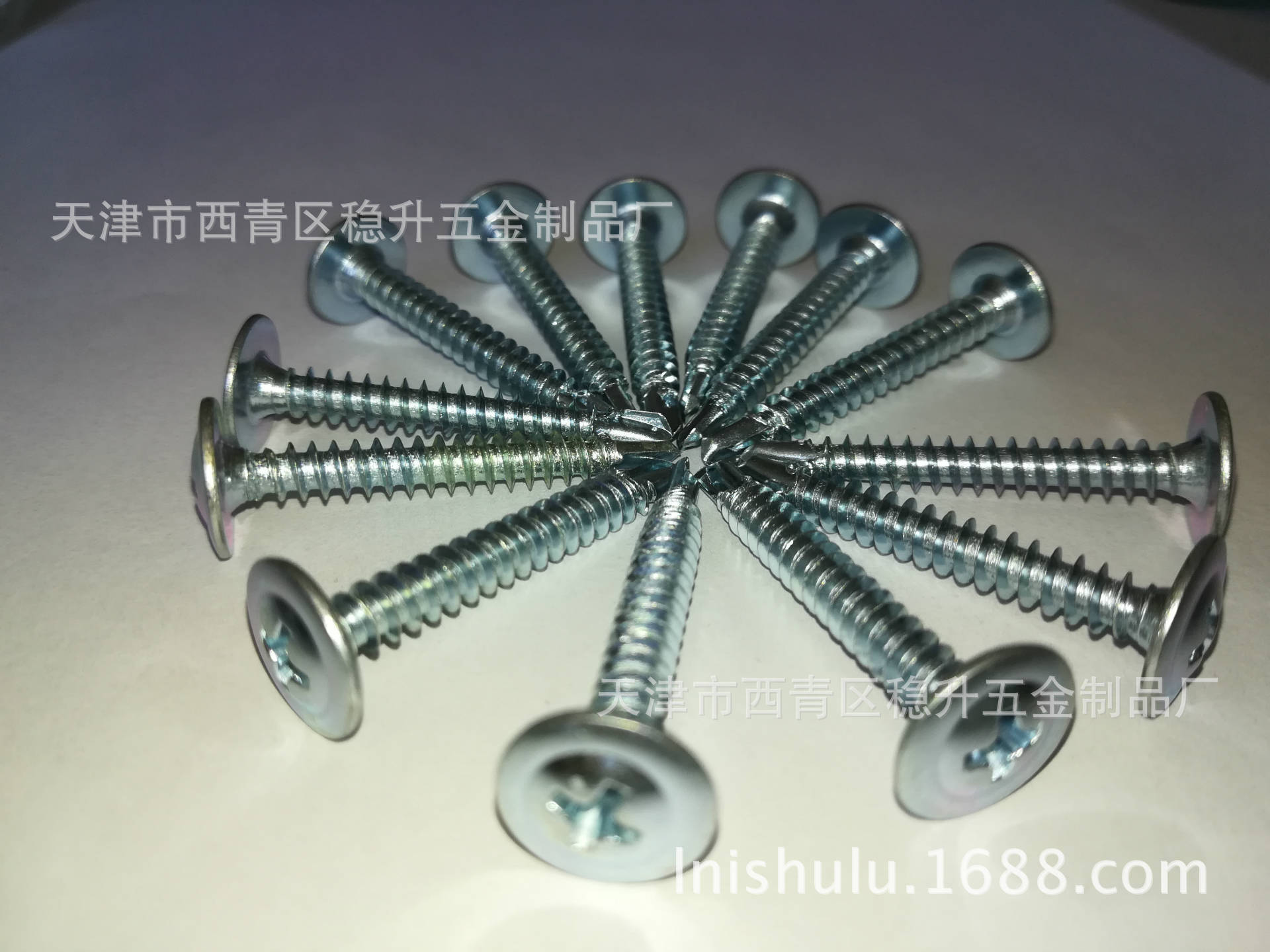 大扁头镀锌华司 出口东欧 巴西 天津工厂直销